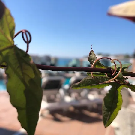 Astoria Park 호텔 료렛 드 마르