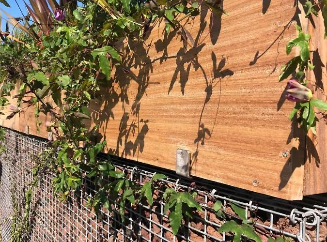 阿斯托利亚公园酒店 滨海略雷特