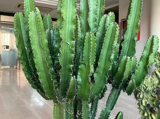 阿斯托利亚公园酒店 4*