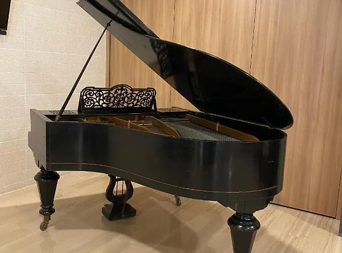 阿斯托利亚公园酒店 滨海略雷特