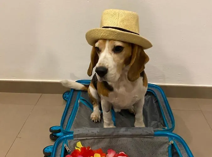 阿斯托利亚公园酒店